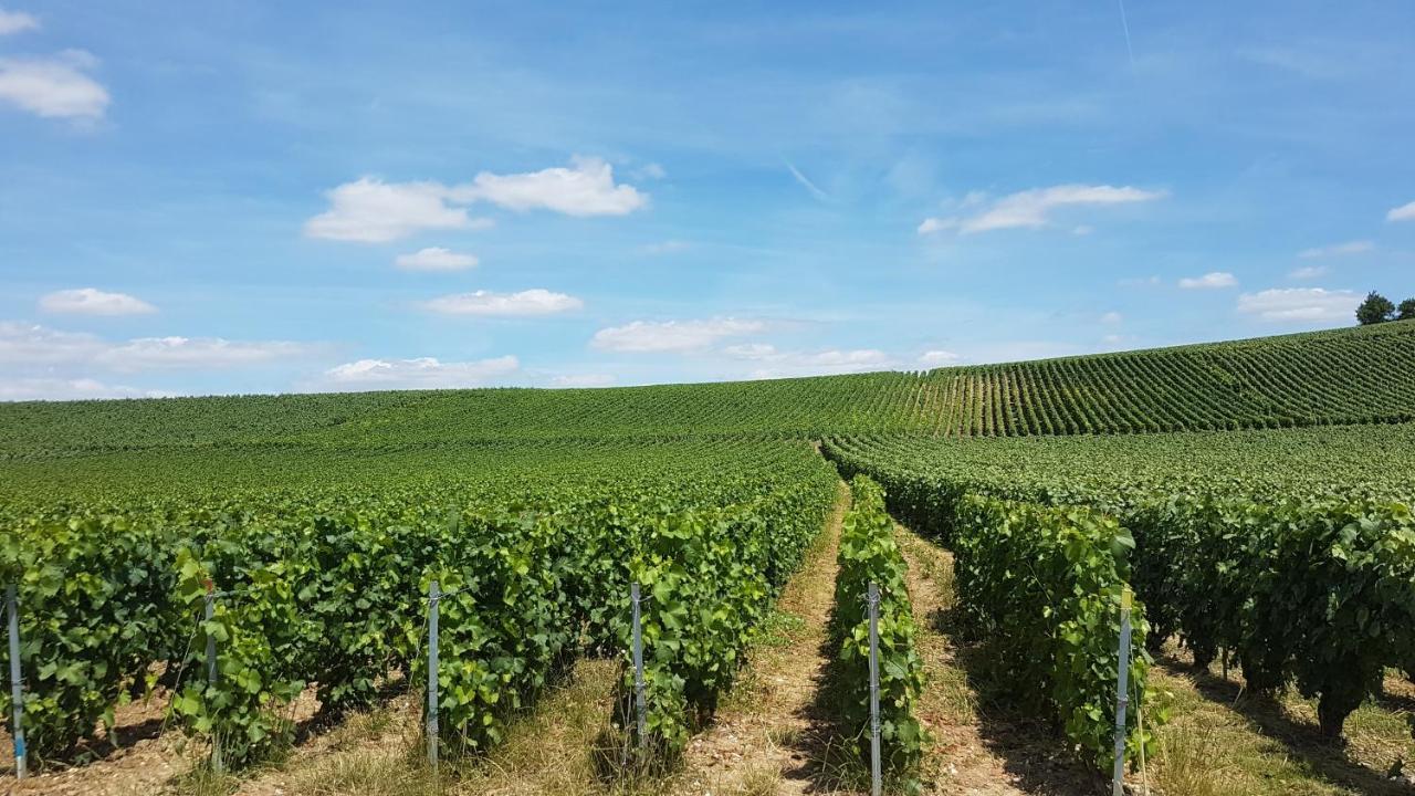 Gîte Enjoy En Champagne avec Verger Dormans Extérieur photo